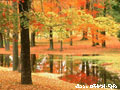 Click to see the photo