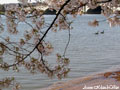 Click to see the photo