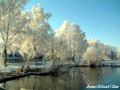 Click to see the photo